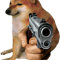 Cheems Doge Gun.png
