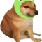 Cheems frog hat.png