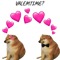 Will You Be my Valentines Cheems .png