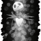 The Nightmare Before Christmas (3).png