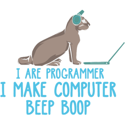i are programmer i cat it computer developer software