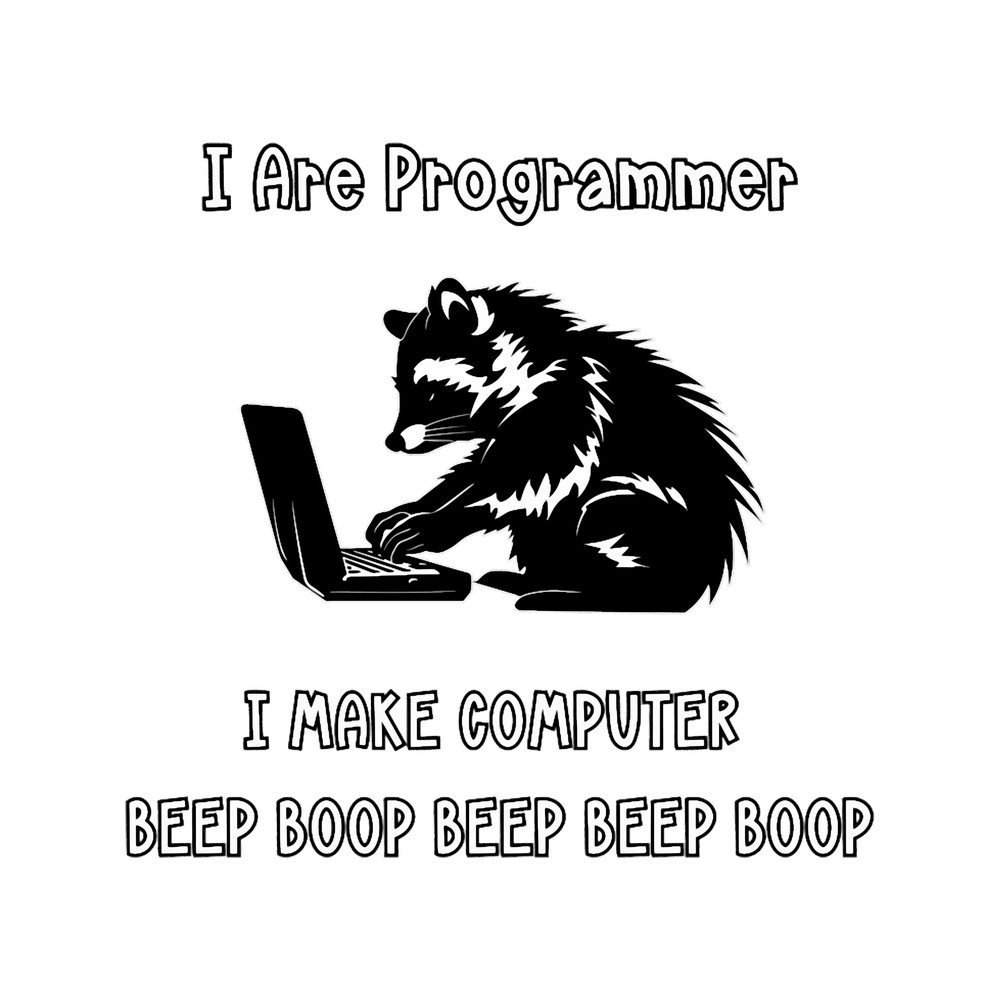 Raccoon I Are Programmer(1).png