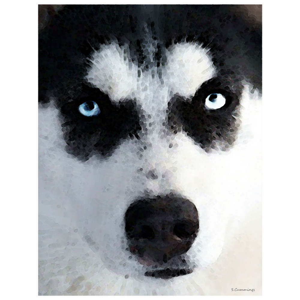 Husky Dog Art - Bat Man.png