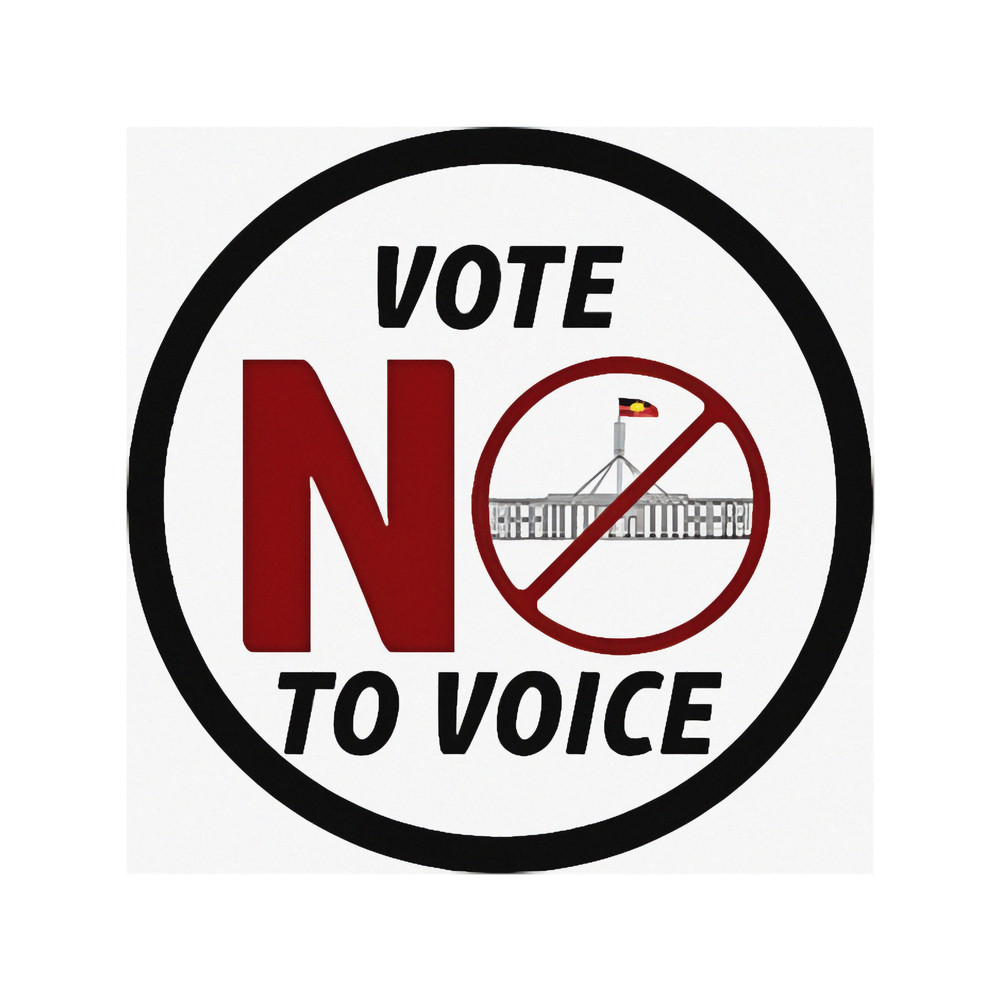 Vote no to voice.png