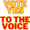 Vote Yes to the voice (4).png