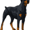 Doberman (Natural).png