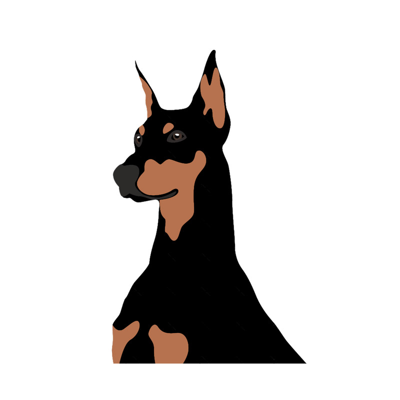 natural ear doberman (6).png