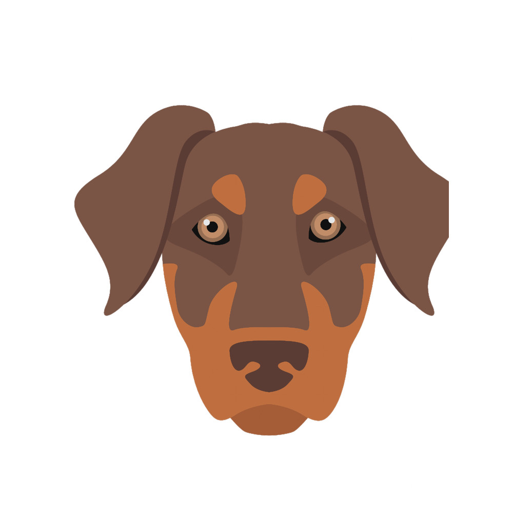 natural ear doberman (9).png