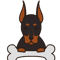 natural ear doberman (13).png