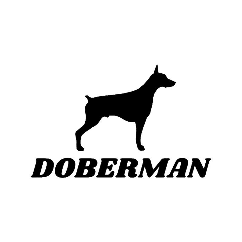 Natural ear doberman (15).png
