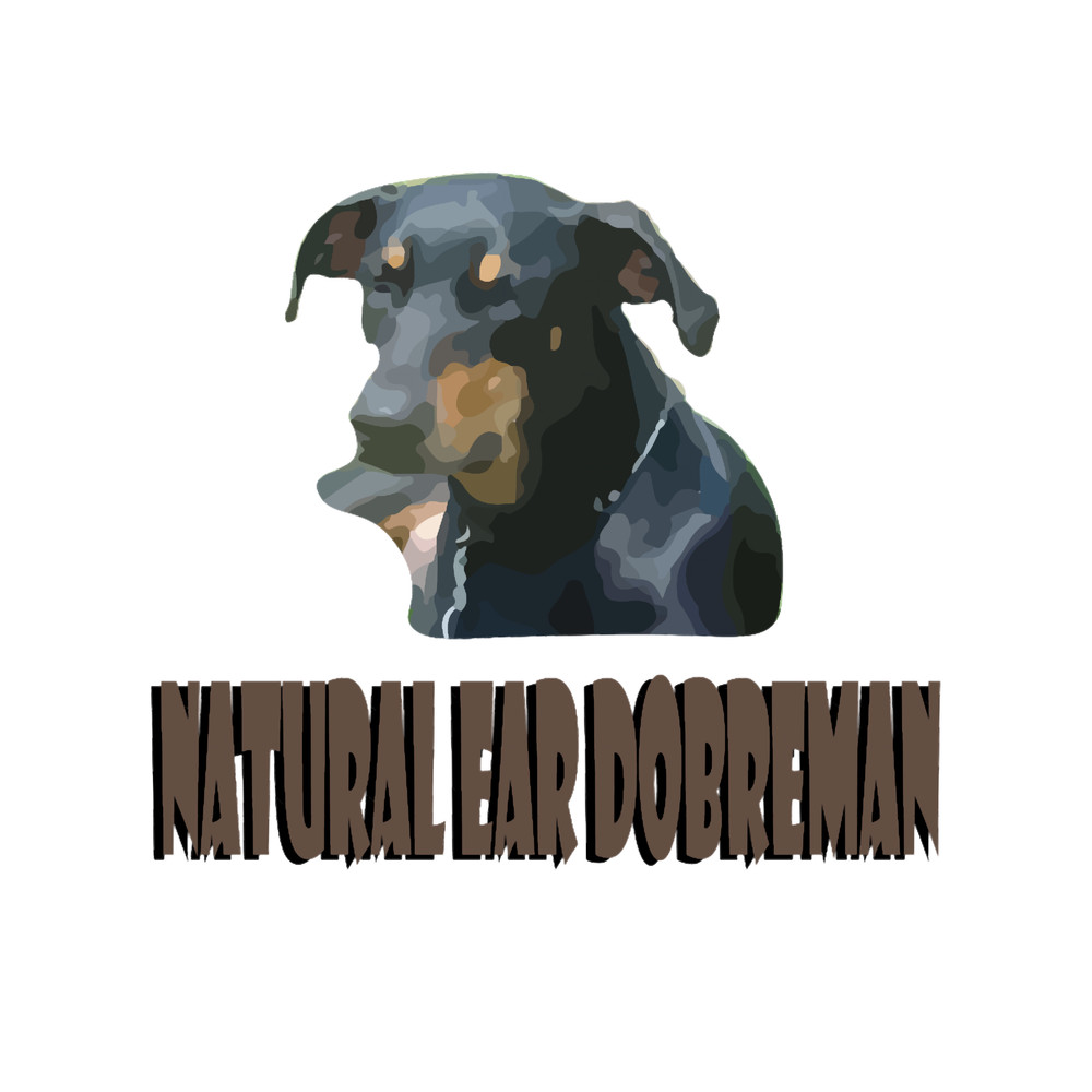 natural ear doberman Premium .png
