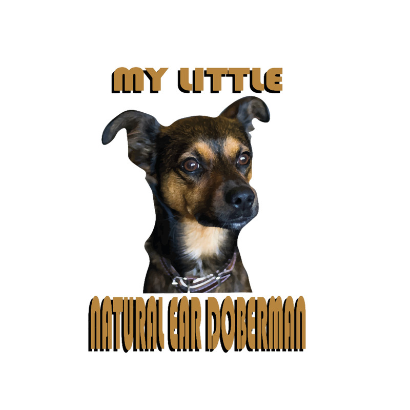 natural ear doberman Premium(1).png