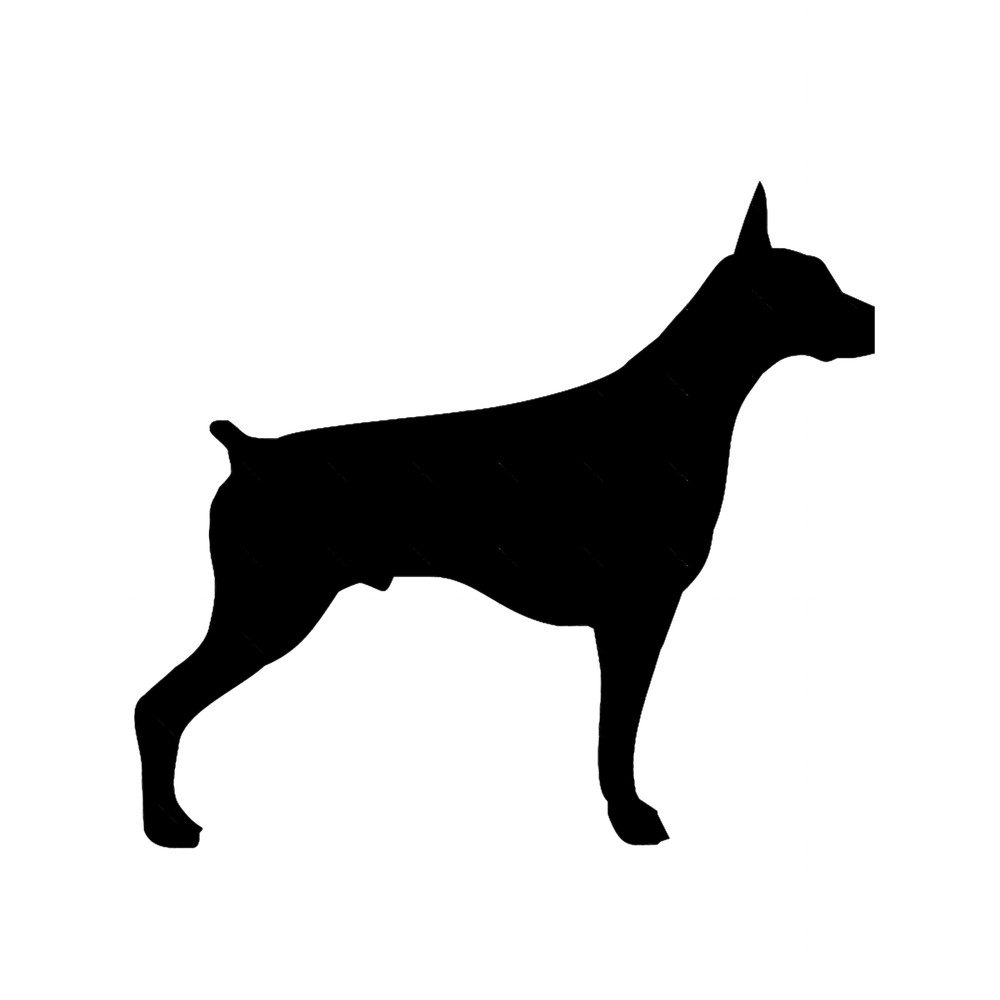 natural ear doberman(9).png