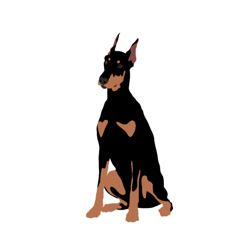 natural ear doberman(12).png
