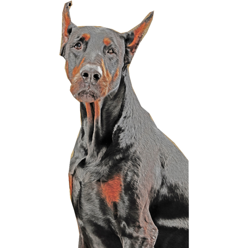 natural ear doberman(13).png