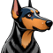 natural ear doberman(25).png