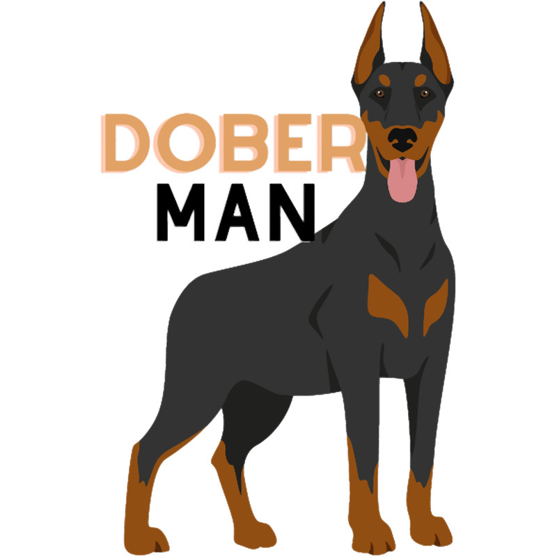 Natural Ear Doberman(30).png