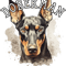 natural ear Doberman.png