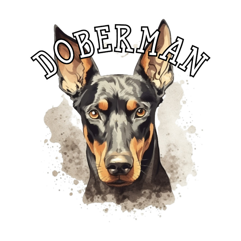 natural ear Doberman.png