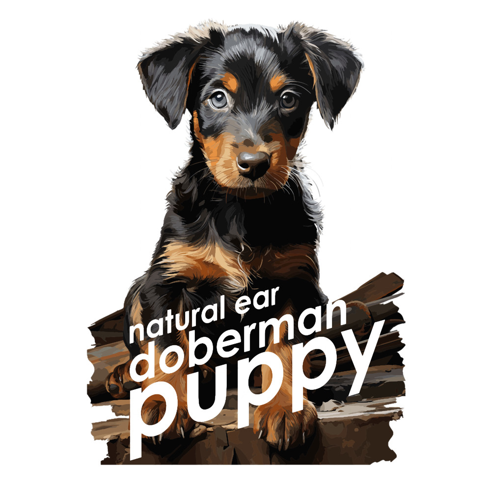 Natural ear doberman2.png