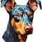 Natural Ear DobermanT-.png