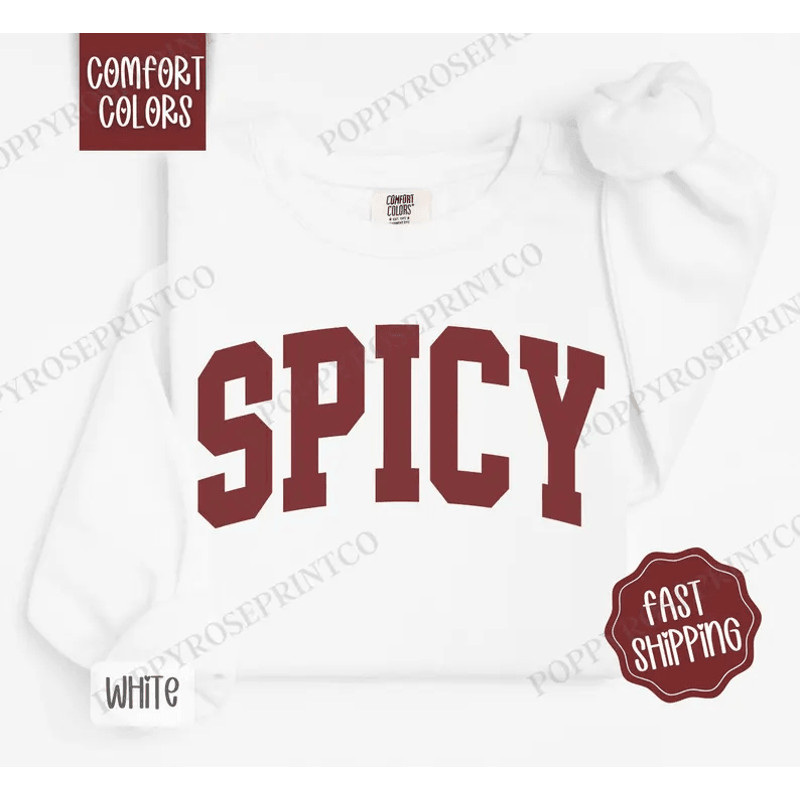 Spicy Comfort Colors Sweatshirt Womens Crewneck Cute Womens Sweater Sarcastic Sassy Sweatshirt Tren 0