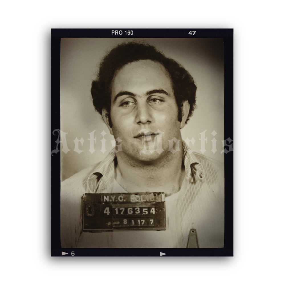 sonofsam_mugshot-print.jpg