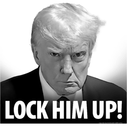 lock him up!donald trump mug shot