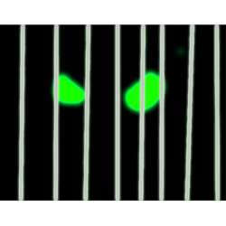 geometry dash inspired watching you