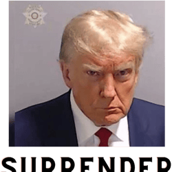 president trump mug shot never surrender political 2024
