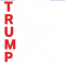 Trump 2024 Take America BackElection Pro Trump Republican Patriotic Trump never surrenderT-.png
