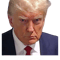 Trump never give up a trump never give up .png