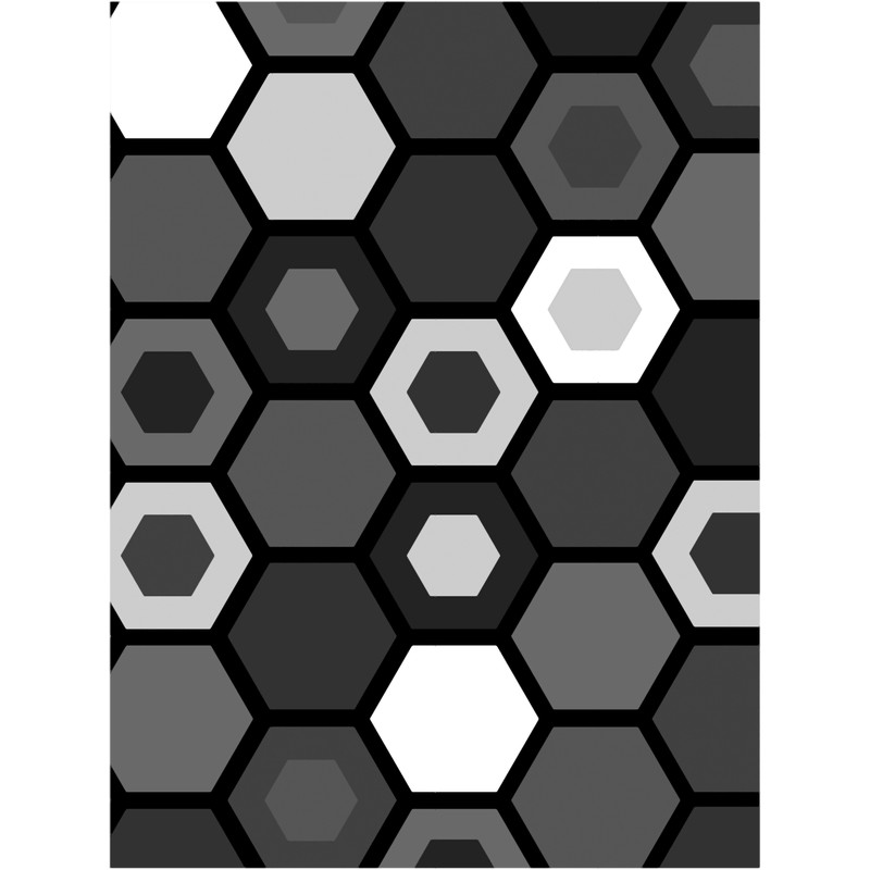 Black and White Hexagons.png
