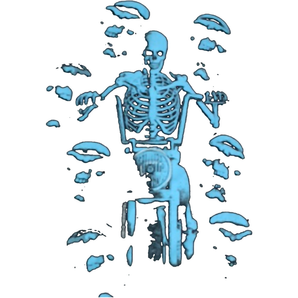 Biker Skeleton Teamsesh Bones .png
