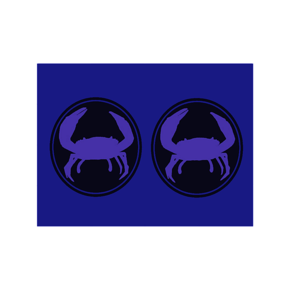 CRAB PATTERN.png