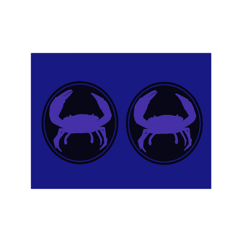 CRAB PATTERN.png