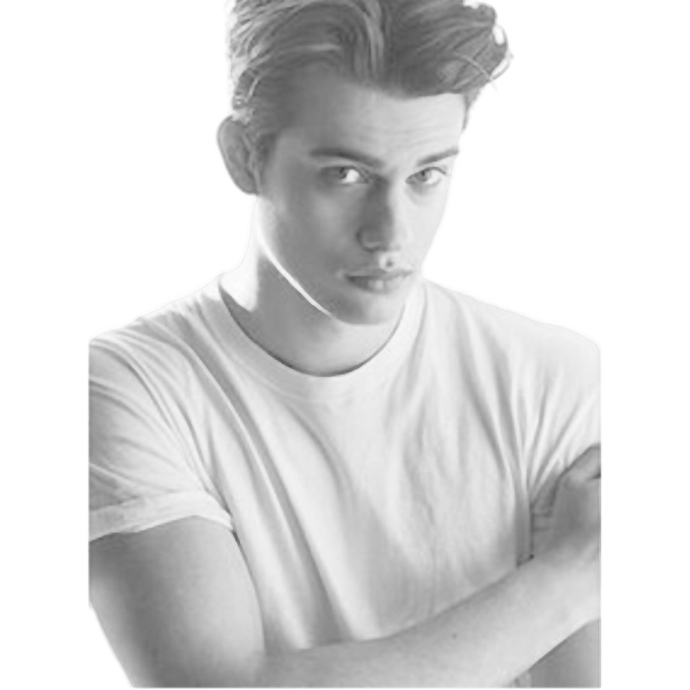 Nhicolas galitzine purple hearts.png