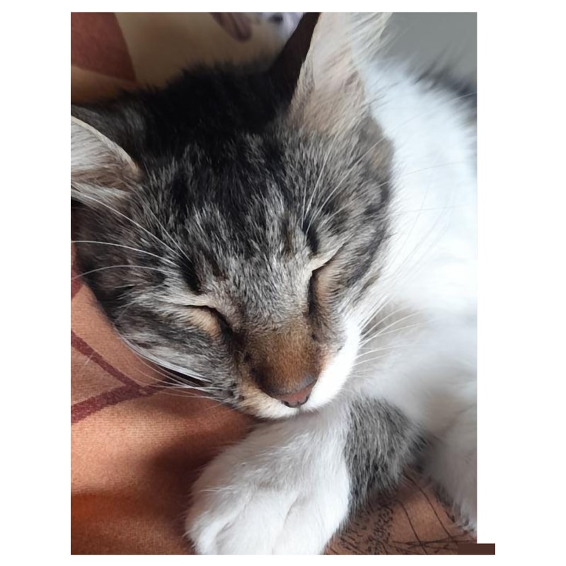 A New Untold Story (7).png