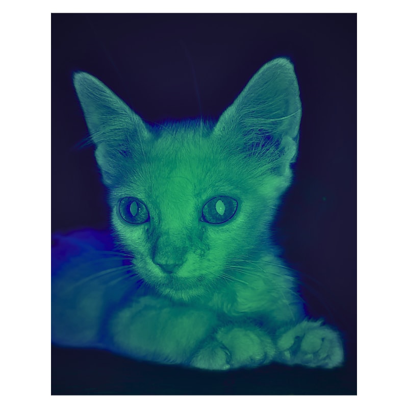 A New Untold Story (8).png