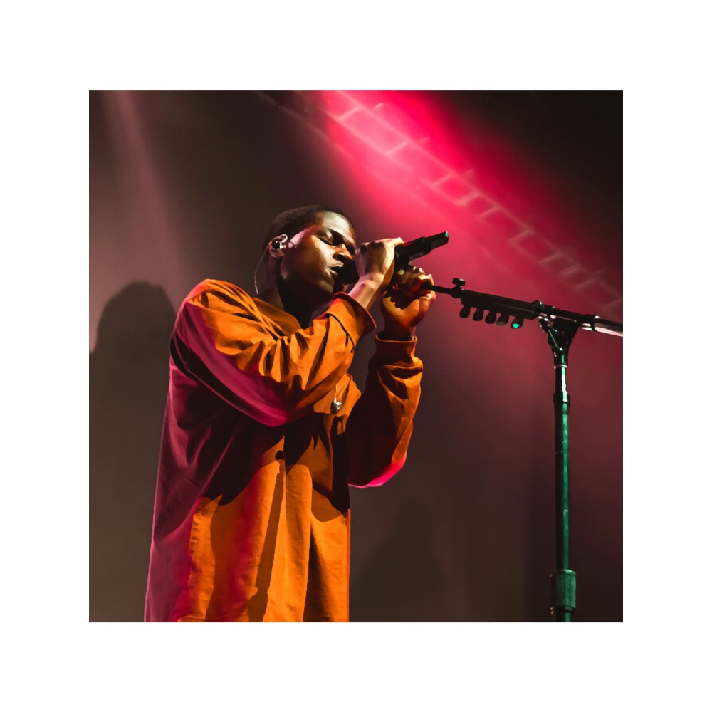 Daniel Caesar Concert Singing Aesthetic Print.png