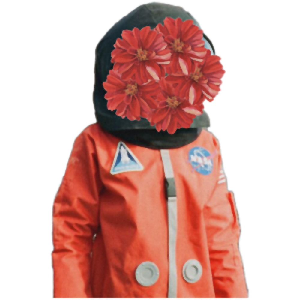 daniel caesar flowers.png