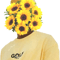 flowers.png