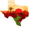 State of Texas.png