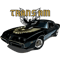 1979 Firebird Trans Am.png