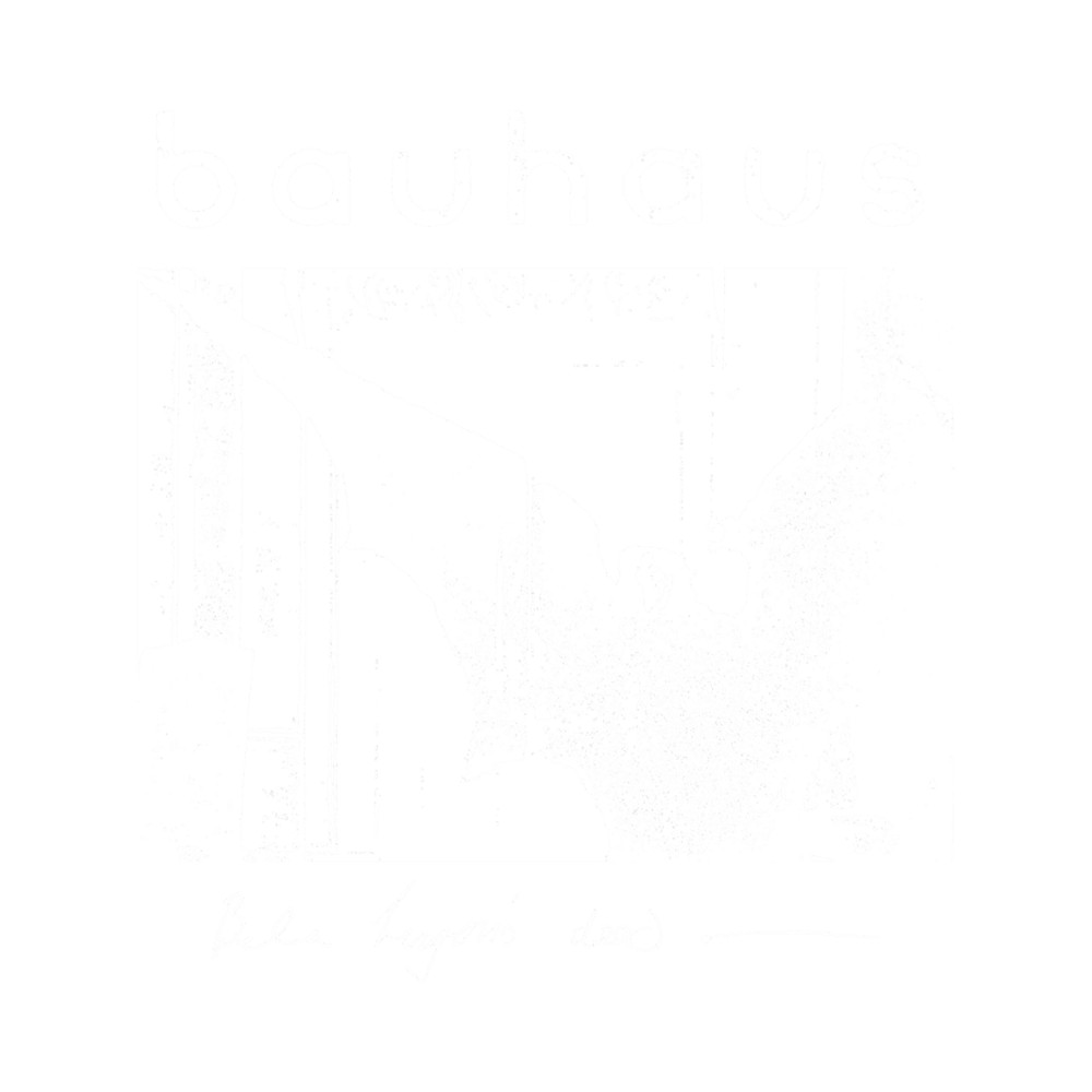 Bauhaus - Bat Wings - Bela Lugosi_s Dead.png