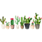 Cactus.png