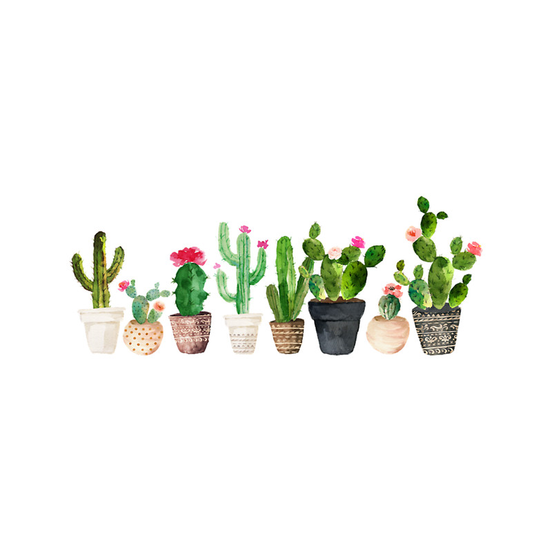 Cactus.png