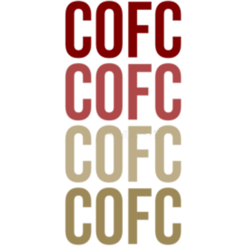 College of Charleston - CofC - Charleston, South Carolina(11).png