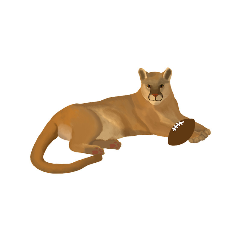 Football Cougar.png