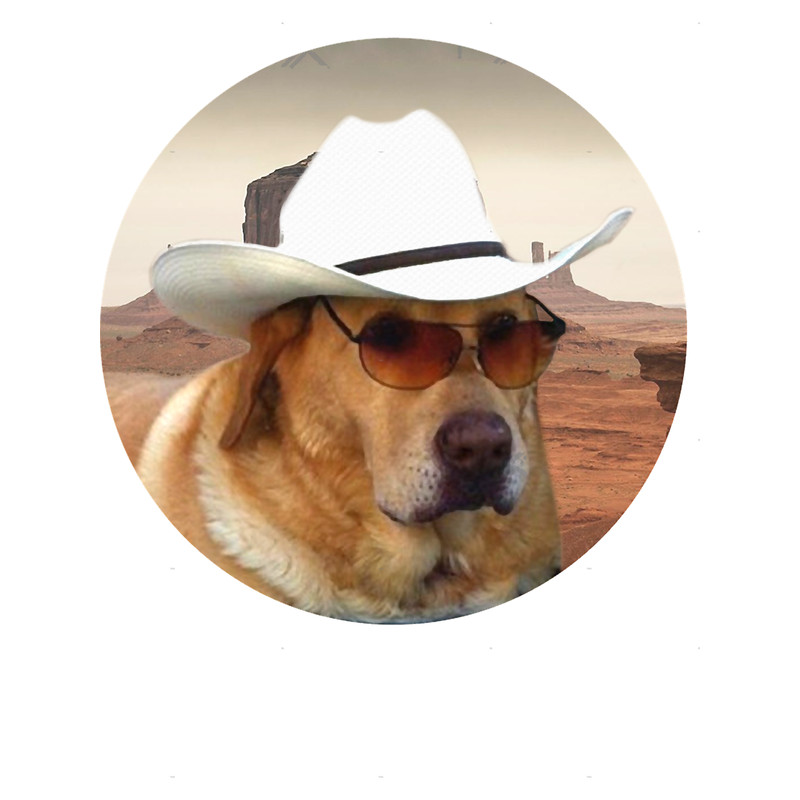 Doggo s Cowboy.png
